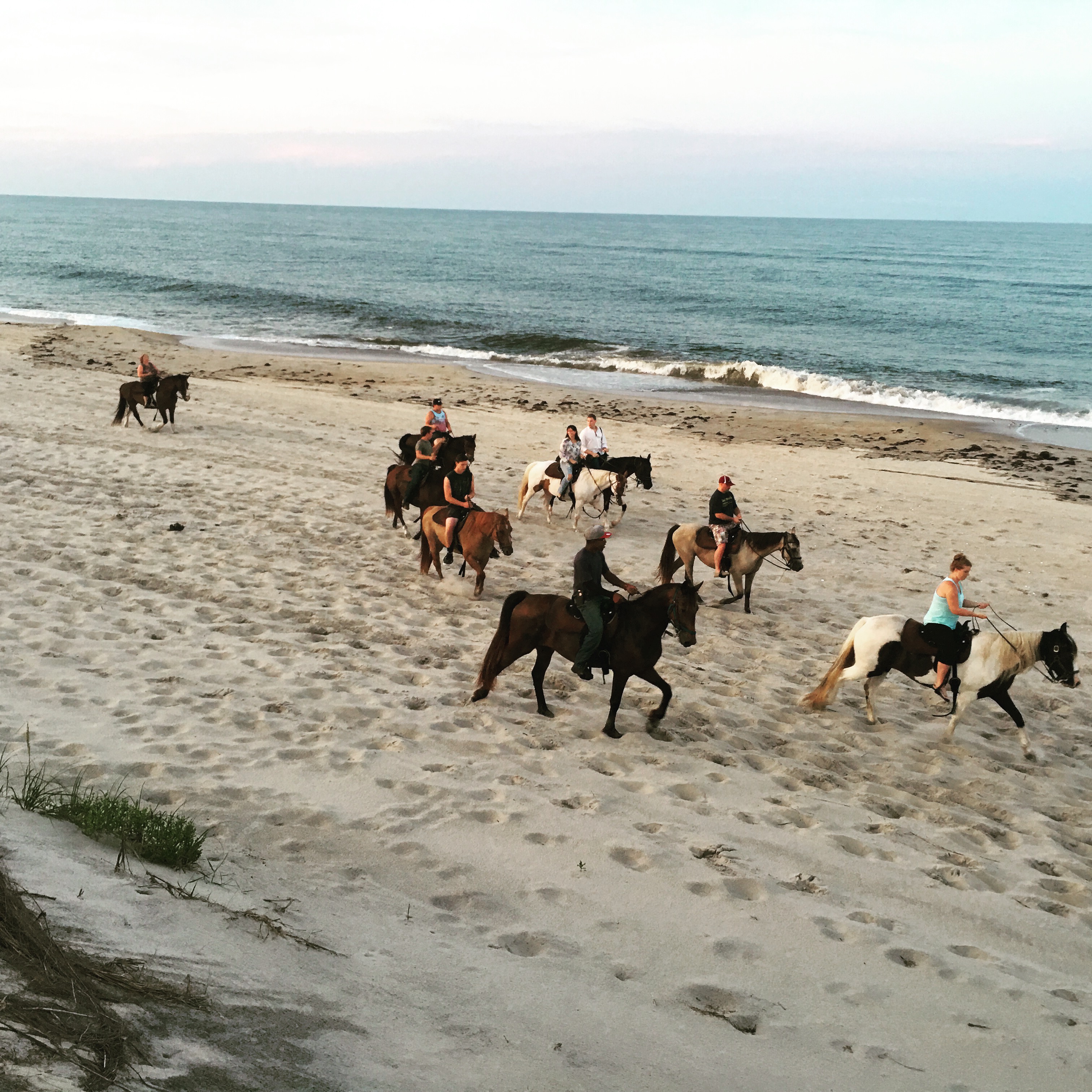 horse tours in outer banks